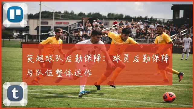 英超球队后勤保障：球员后勤保障与队伍整体运作