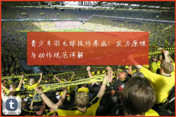 青少年羽毛球技巧养成:发力原理与动作规范详解